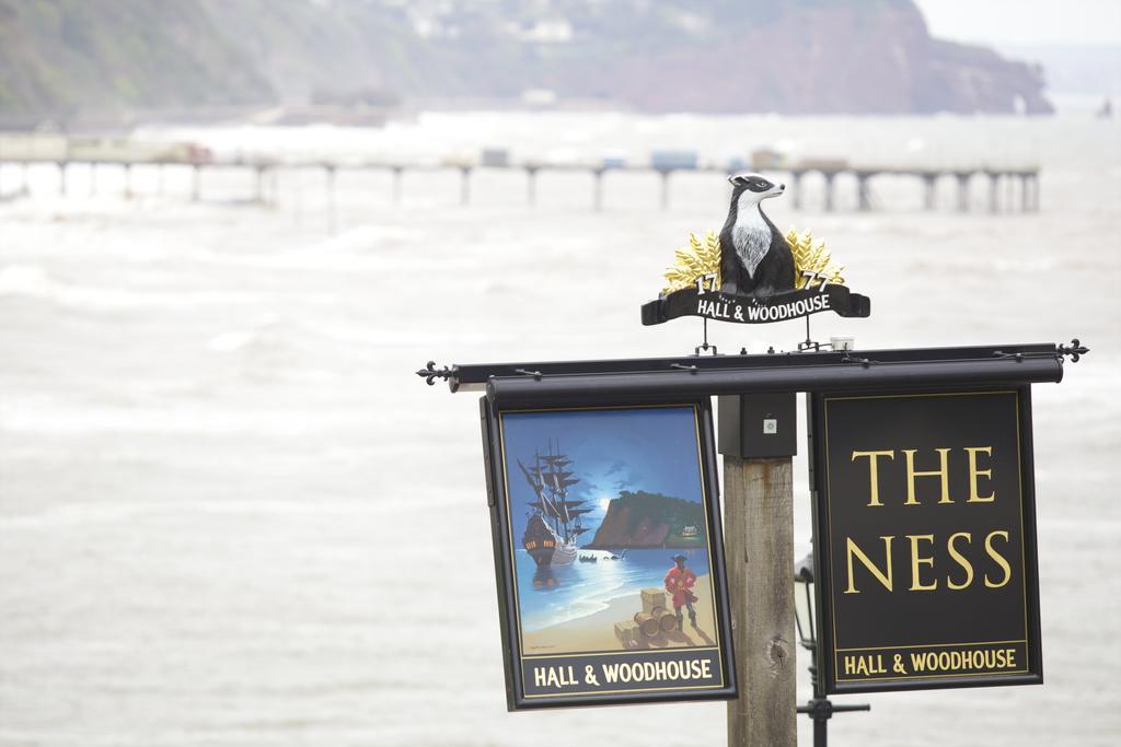 The Ness Teignmouth Exterior foto